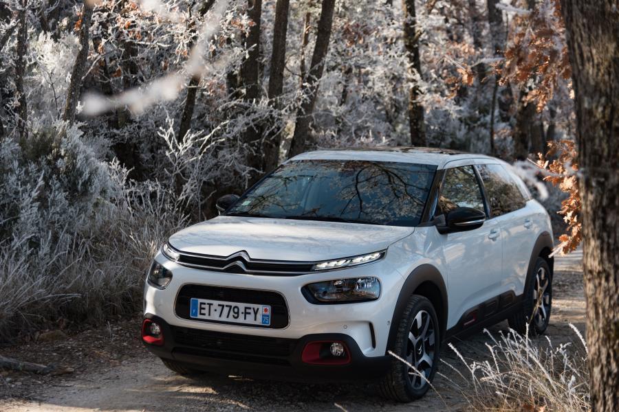  Citroen C4 Cactus 2018 года  (WW) (фото 25 из 40)